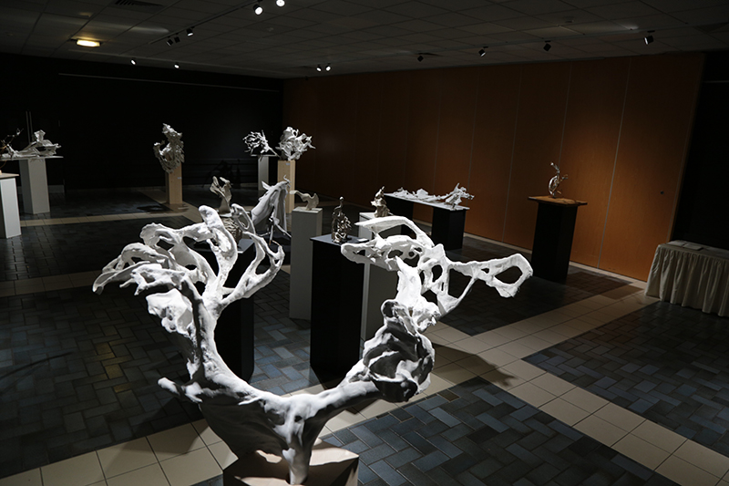 Expositions