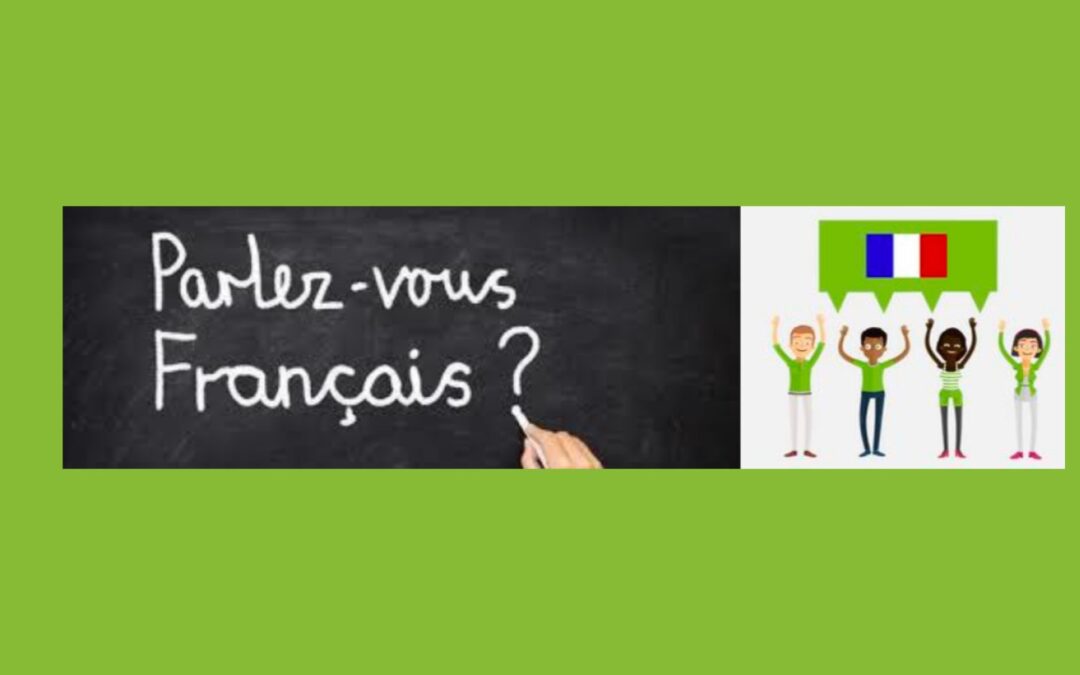 Formation linguistique : Cours savoirs de base en français à visée d’insertion sociale