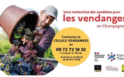 PRÊT POUR LES VENDANGES ?