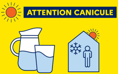 VIGILANCE CANICULE