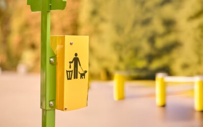 Des sacs à déjection canine dans votre ville
