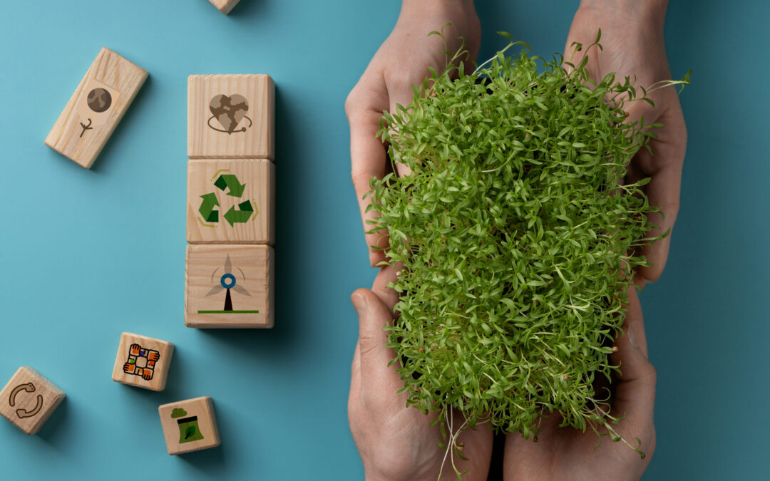Définition du Développement durable
